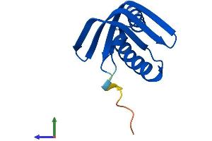 AlphaFold protein structure predicition of Human Recombinant GTF2A2 Protein, UniprotID P52657