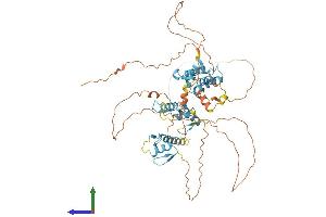 AlphaFold protein structure predicition of Human Recombinant ZNF496 Protein, UniprotID Q96IT1