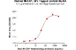 ELISA plate pre-coated by 2 μg/mL (100 μL/well) Human M-CSF Protein, hFc Tag (ABIN7092715, ABIN7272254 and ABIN7272255) can bind Anti-M-CSF Neutralizing antibody ABIN7478003 and ABIN7490942 in a linear range of 9.