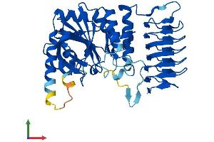 AlphaFold protein structure predicition of Human Recombinant GMPPA Protein, UniprotID Q96IJ6