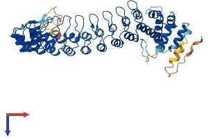 AlphaFold protein structure predicition of Human Recombinant ANKDD1A Protein, UniprotID Q495B1