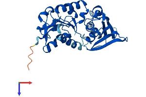 AlphaFold protein structure predicition of Mouse Recombinant Aspdh Protein, UniprotID Q9DCQ2