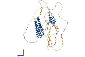 AlphaFold protein structure predicition of Mouse Recombinant Efs Protein, UniprotID Q64355
