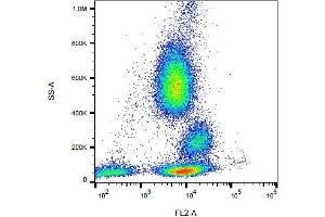Surface staining of human peripheral blood cells with anti-human CD162 (clone TC2) PE.