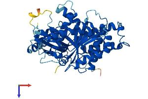 AlphaFold protein structure predicition of Mouse Recombinant Tubg1 Protein, UniprotID P83887