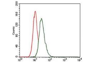 Flow cytometric analysis of HeLa cells using LRP5 mouse mAb (green) and negative control (red).
