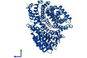 AlphaFold protein structure predicition of Mouse Recombinant Kpnb1 Protein, UniprotID P70168