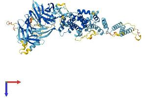 AlphaFold protein structure predicition of Mouse Recombinant Gsap Protein, UniprotID Q3TCV3
