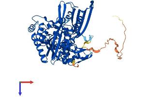 AlphaFold protein structure predicition of Human Recombinant ISYNA1 Protein, UniprotID Q9NPH2