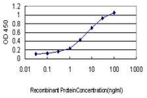 Detection limit for recombinant GST tagged RGL1 is approximately 0. (RGL1 anticorps  (AA 2-109))