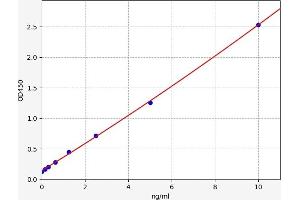 Legumain (LGMN) ELISA Kit