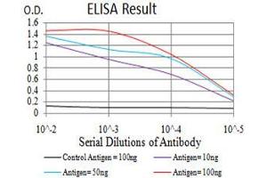 Black line: Control Antigen (100 ng), Purple line: Antigen(10 ng), Blue line: Antigen (50 ng), Red line: Antigen (100 ng), (RAD23A anticorps  (AA 1-363))