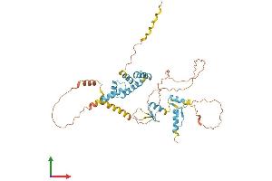 AlphaFold protein structure predicition of Human Recombinant ZSCAN1 Protein, UniprotID Q8NBB4