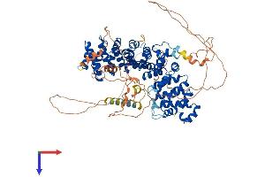AlphaFold protein structure predicition of Human Recombinant PKP3 Protein, UniprotID Q9Y446