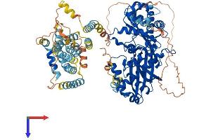 AlphaFold protein structure predicition of Mouse Recombinant Hmgcr Protein, UniprotID Q01237