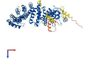 AlphaFold protein structure predicition of Mouse Recombinant Ric8b Protein, UniprotID Q80XE1