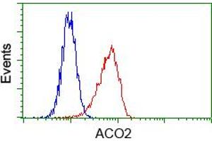 Image no. 3 for anti-Aconitase 2, Mitochondrial (ACO2) antibody (ABIN1496410) (ACO2 anticorps)