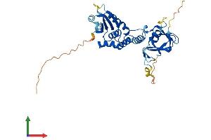AlphaFold protein structure predicition of Human Recombinant DUSP12 Protein, UniprotID Q9UNI6