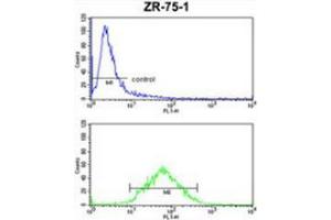 anti-Peroxisomal Membrane Protein 4 (PXMP4) (AA 134-164), (Middle Region) antibody
