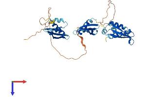 AlphaFold protein structure predicition of Human Recombinant TARBP2 Protein, UniprotID Q15633