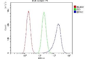 Flow Cytometry analysis of A549 cells using anti-Epoxide hydrolase/EPHX1 antibody (ABIN7601696).