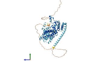 AlphaFold protein structure predicition of Mouse Recombinant Nop56 Protein, UniprotID Q9D6Z1