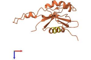 AlphaFold protein structure predicition of Human Recombinant FER1L6-AS2 Protein, UniprotID Q96M78