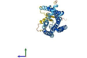AlphaFold protein structure predicition of Human Recombinant OR2C1 Protein, UniprotID O95371