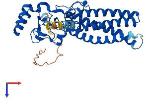AlphaFold protein structure predicition of Human Recombinant ZDHHC15 Protein, UniprotID Q96MV8