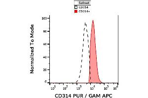 Surface staining of human peripheral blood with anti-human CD314 (1D11) purified. (KLRK1 anticorps)