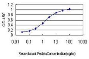Detection limit for recombinant GST tagged MECOM is approximately 0.