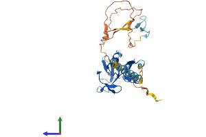 AlphaFold protein structure predicition of Mouse Recombinant Clec2g Protein, UniprotID Q9D676