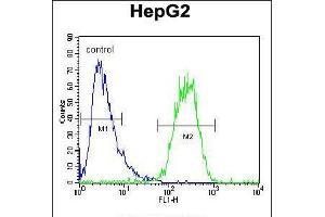 Flow cytometric analysis of HepG2 cells (right histogram) compared to a negative control cell (left histogram). (SEC13 anticorps  (AA 72-100))