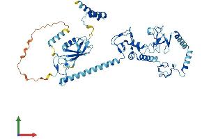 AlphaFold protein structure predicition of Human Recombinant RBCK1 Protein, UniprotID Q9BYM8