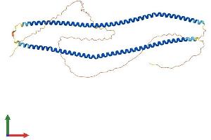 AlphaFold protein structure predicition of Mouse Recombinant Sync Protein, UniprotID Q9EPM5