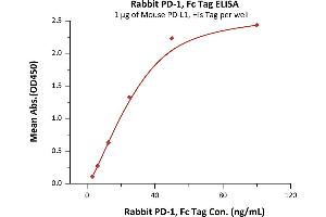 Immobilized Mouse PD-L1, His Tag (ABIN2181636,ABIN2181635) at 10 μg/mL (100 μL/well) can bind Rabbit PD-1, Fc Tag (1) with a linear range of 3-50 ng/mL (QC tested).