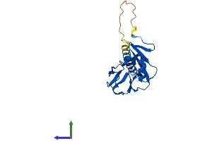 AlphaFold protein structure predicition of Human Recombinant KLRD1 Protein, UniprotID Q13241