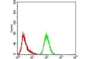 Flow cytometric analysis of Hela cells using GFPT1 mouse mAb (green) and negative control (red).