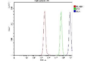 Flow Cytometry analysis of Daudi cells using anti-BLK antibody (ABIN7601971).