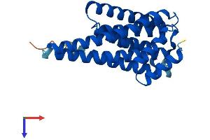 AlphaFold protein structure predicition of Mouse Recombinant Ywhag Protein, UniprotID P61982