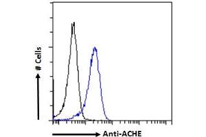ABIN185357 Flow cytometric analysis of paraformaldehyde fixed HeLa cells (blue line), permeabilized with 0.