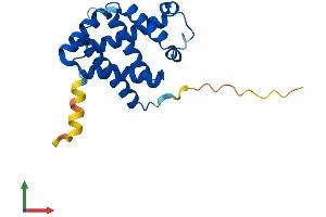 AlphaFold protein structure predicition of Human Recombinant CYGB Protein, UniprotID Q8WWM9
