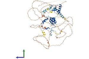 AlphaFold protein structure predicition of Human Recombinant DBF4 Protein, UniprotID Q9UBU7