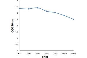 Antigen: 0. (TRIM33 anticorps  (AA 981-1127))