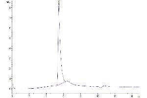 The purity of Biotinylated Human LAP (TGF beta 1) is greater than 95 % as determined by SEC-HPLC.