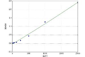 Protein Kinase C, alpha (PKCa) ELISA Kit