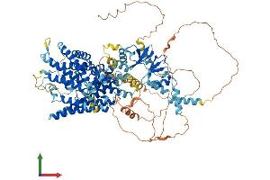 AlphaFold protein structure predicition of Mouse Recombinant Clcn2 Protein, UniprotID Q9R0A1