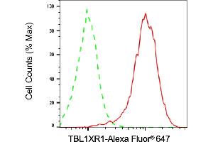 Flow cytometric analysis of TBL1XR1 expression in HepG2 cells using TBL1XR1 antibody (ABIN7800597), 1:2,000). (TBL1XR1 anticorps)
