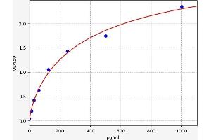 Growth Differentiation Factor 11 (GDF11) ELISA Kit
