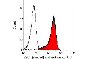 Flow Cytometry (FACS) image for anti-Zinc Finger E-Box Binding Homeobox 1 (ZEB1) (AA 750-800) antibody (ABIN7455173) (Recombinant ZEB1 anticorps  (AA 750-800))